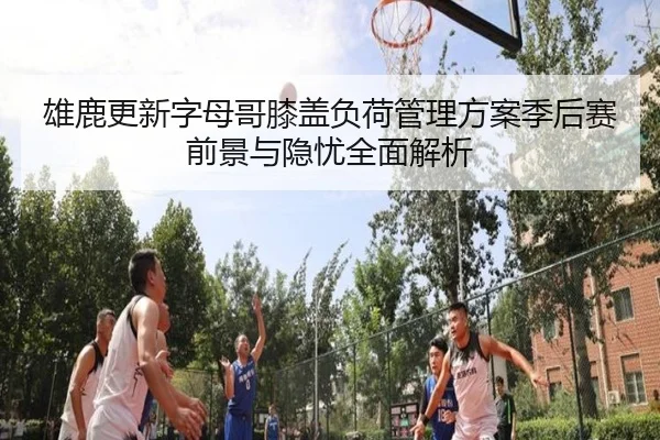 雄鹿更新字母哥膝盖负荷管理方案季后赛前景与隐忧全面解析